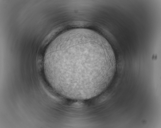 X0000110680119200907021919