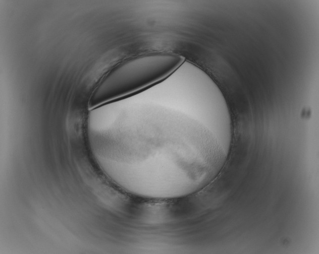 X0000110680120200907021919