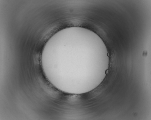 X0000110680122200907021919