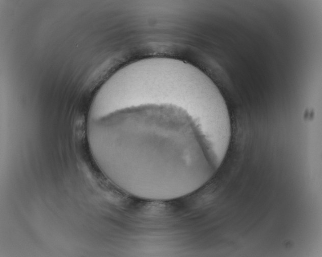 X0000110680123200907021919