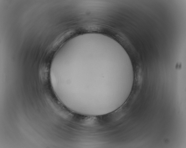 X0000110680124200907021919