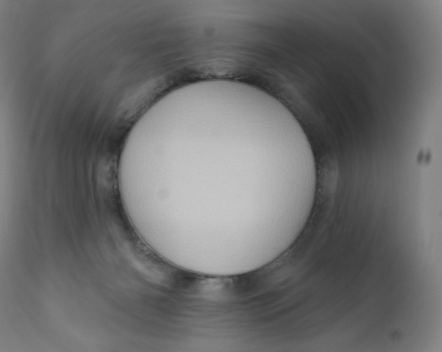 X0000110680126200907021919