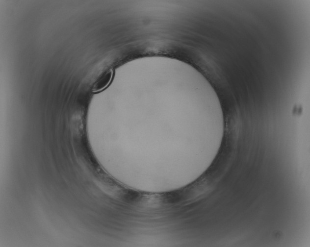 X0000110680127200907021919