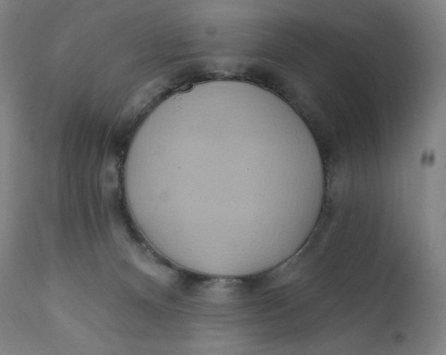 X0000110680128200907021919