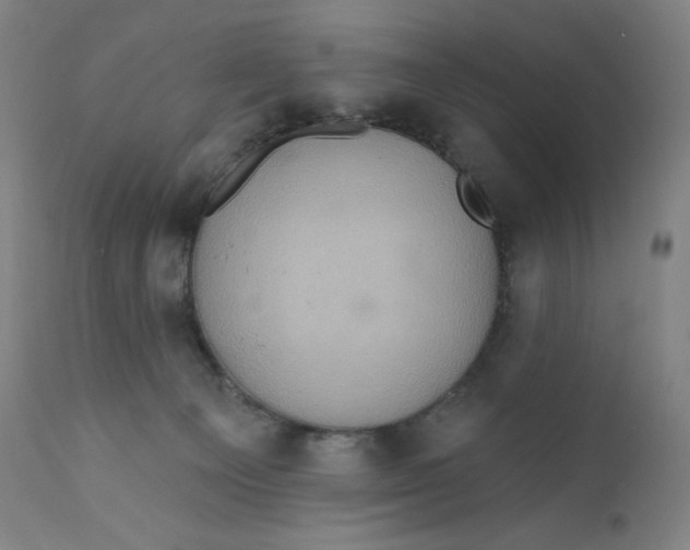 X0000110680129200907021919