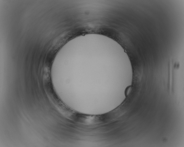 X0000110680130200907021919