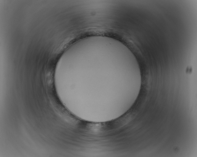 X0000110680131200907021919