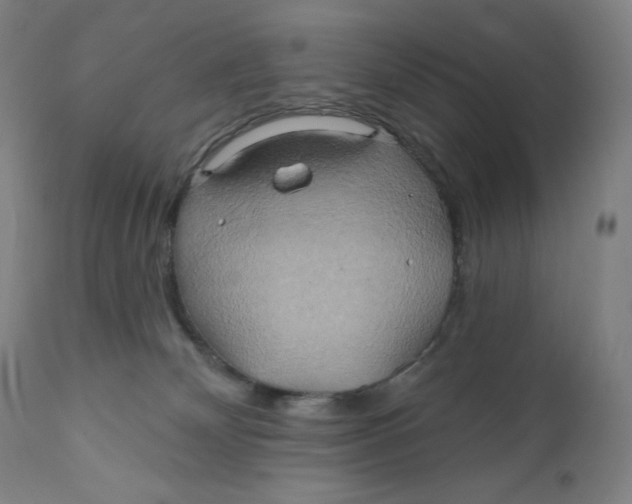 X0000110680132200907021919