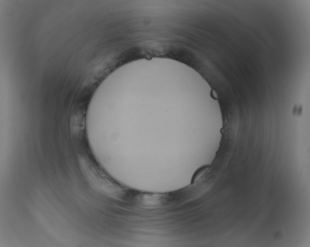 X0000110680134200907021919