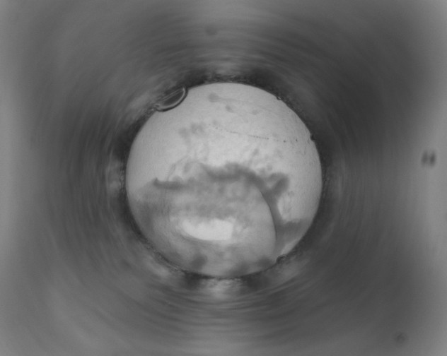 X0000110680135200907021919