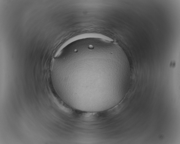 X0000110680136200907021919