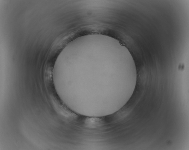 X0000110680137200907021919