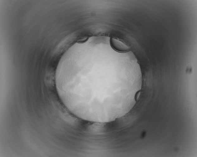 X0000110680138200907021919