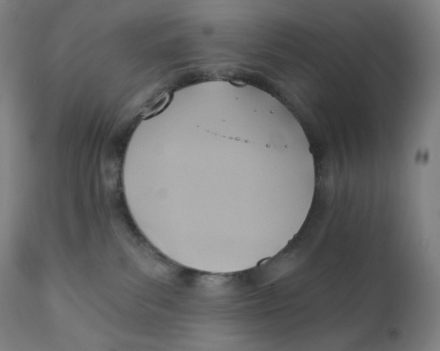 X0000110680139200907021919