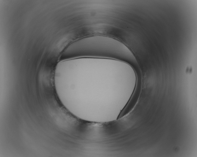 X0000110680140200907021919