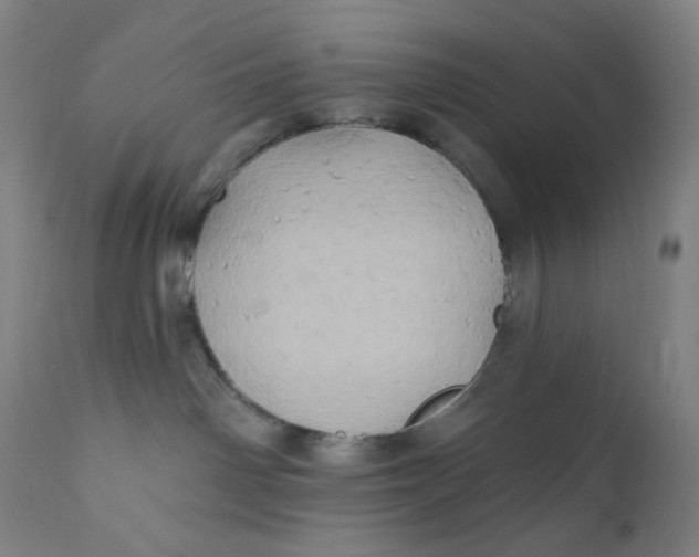 X0000110680142200907021919