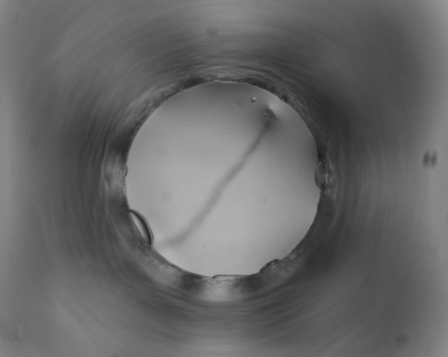 X0000110680143200907021919