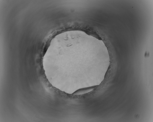 X0000110680144200907021919