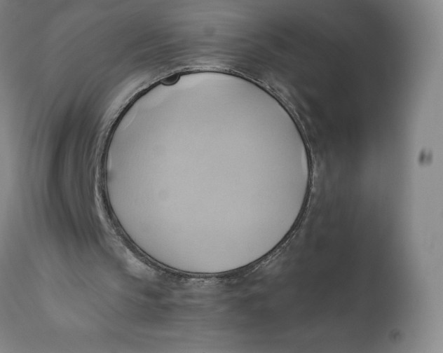 X0000110680145200907021918