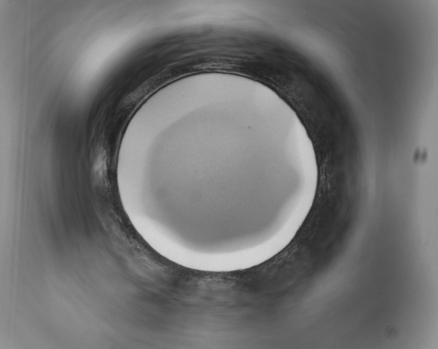 X0000110680146200907021918