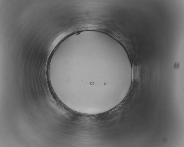X0000110680147200907021918