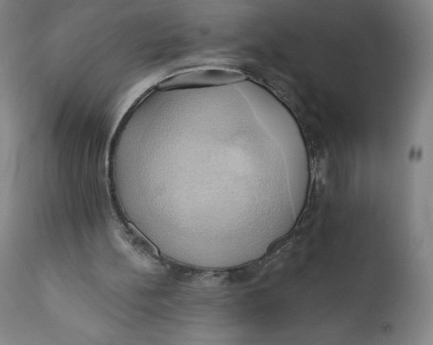 X0000110680148200907021918