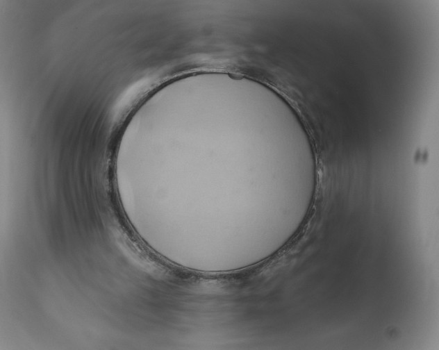 X0000110680149200907021918