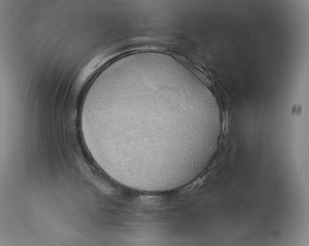 X0000110680150200907021918