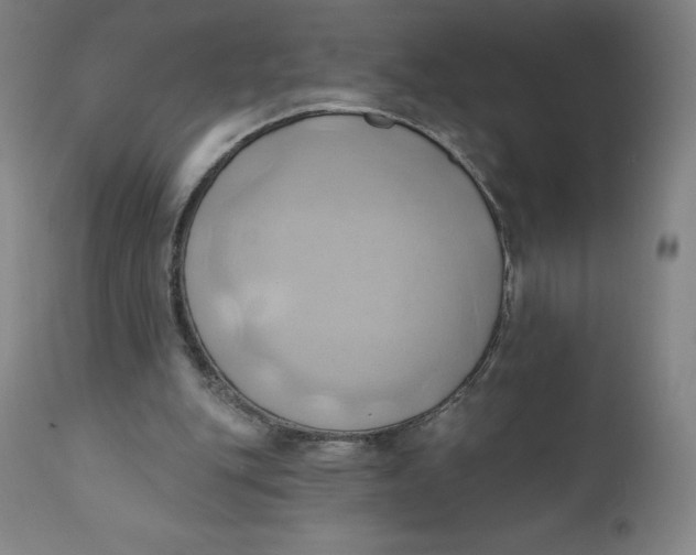 X0000110680151200907021918