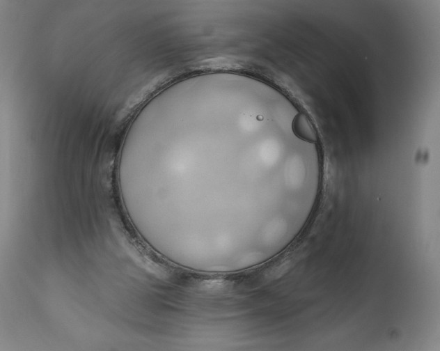 X0000110680153200907021918