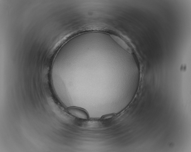 X0000110680154200907021918