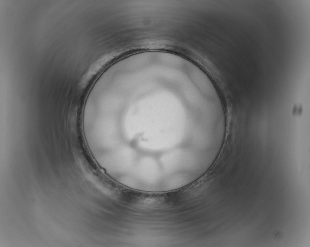 X0000110680155200907021918