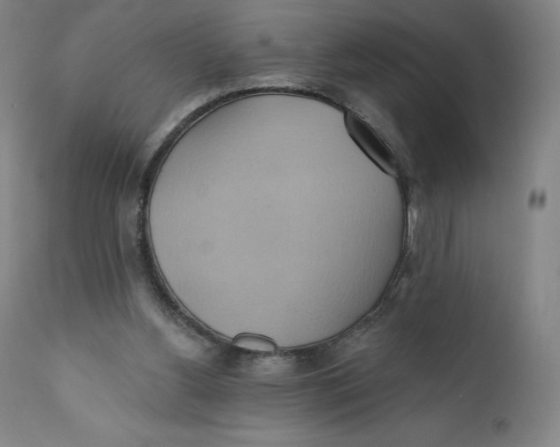 X0000110680156200907021918