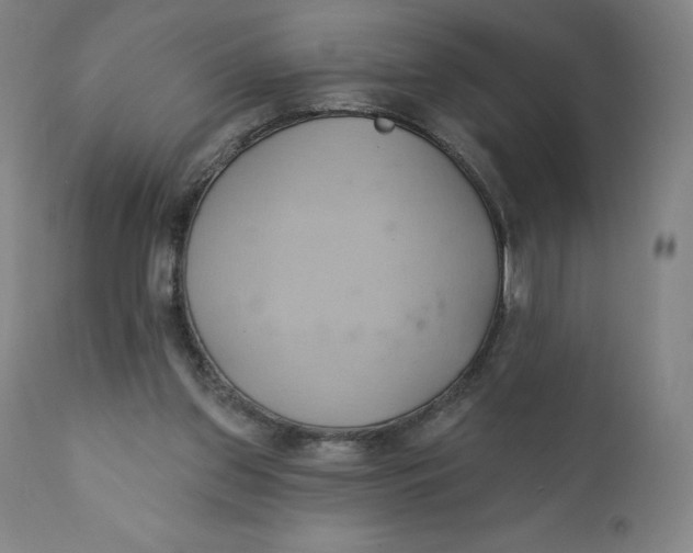 X0000110680157200907021918