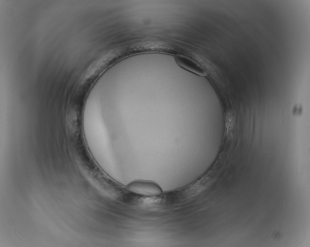X0000110680158200907021918