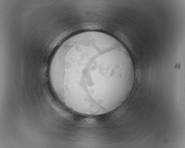 X0000110680159200907021918
