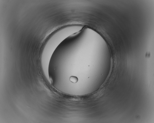 X0000110680160200907021918