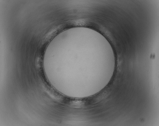 X0000110680161200907021919