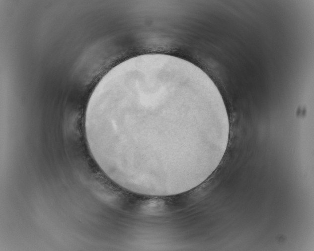 X0000110680162200907021919