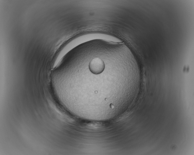 X0000110680164200907021919