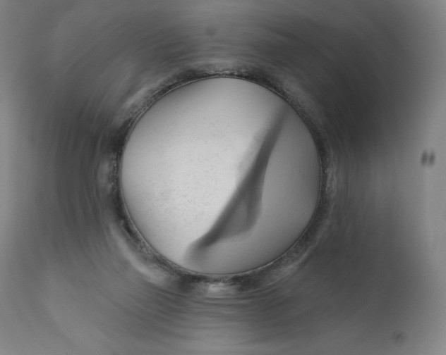 X0000110680165200907021919