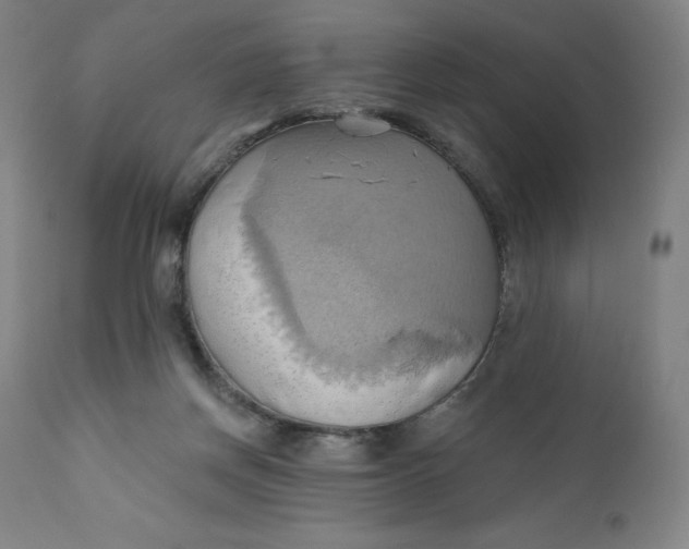 X0000110680166200907021919