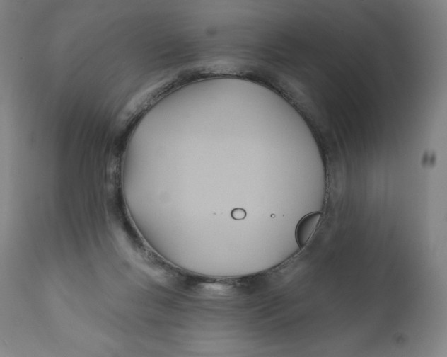 X0000110680167200907021919