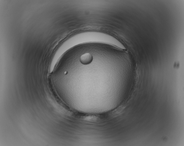 X0000110680168200907021919