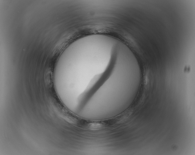 X0000110680169200907021919