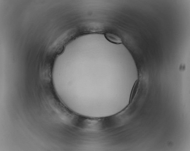 X0000110680170200907021919