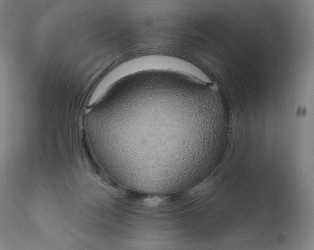 X0000110680172200907021919