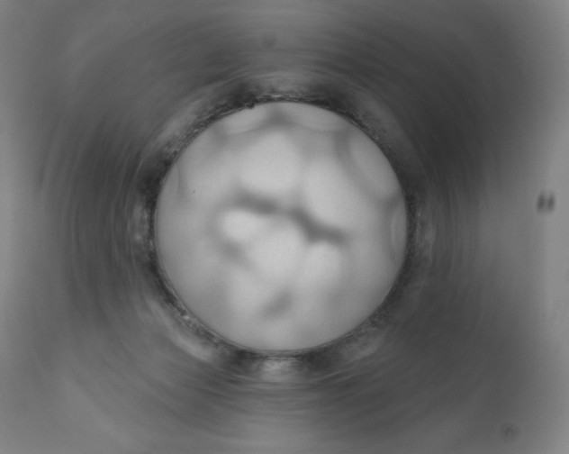 X0000110680173200907021919
