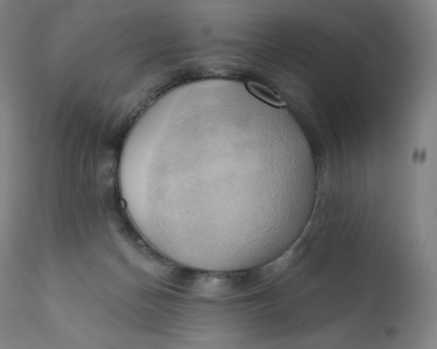 X0000110680174200907021919
