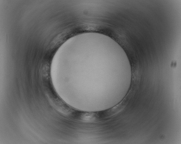 X0000110680175200907021919